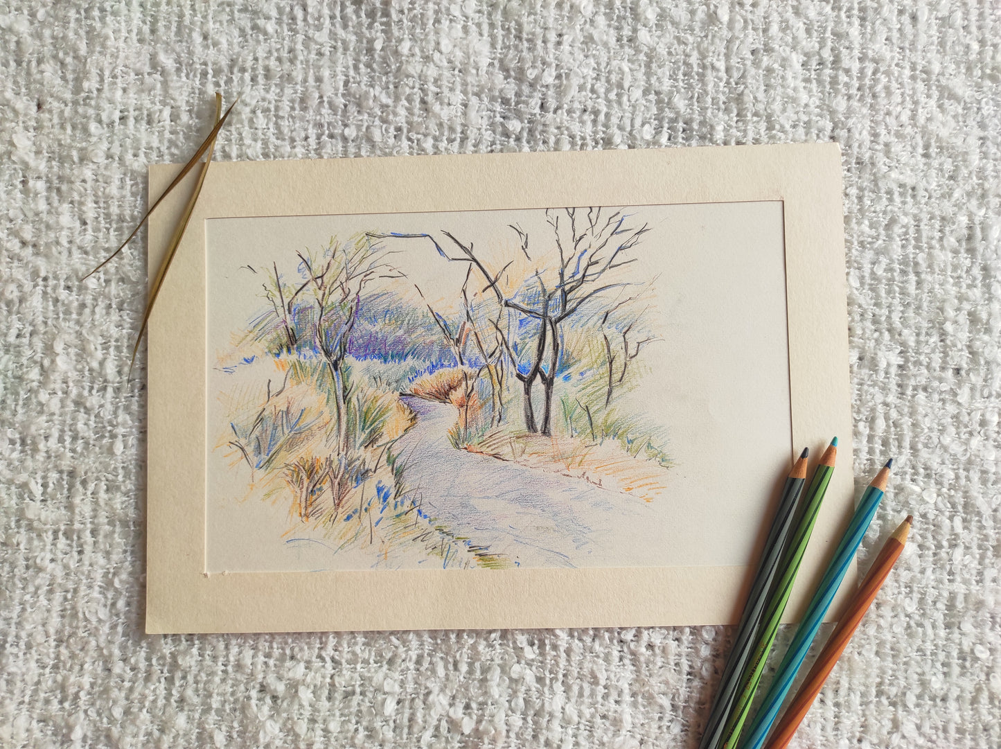 The Path Between Bare Trees